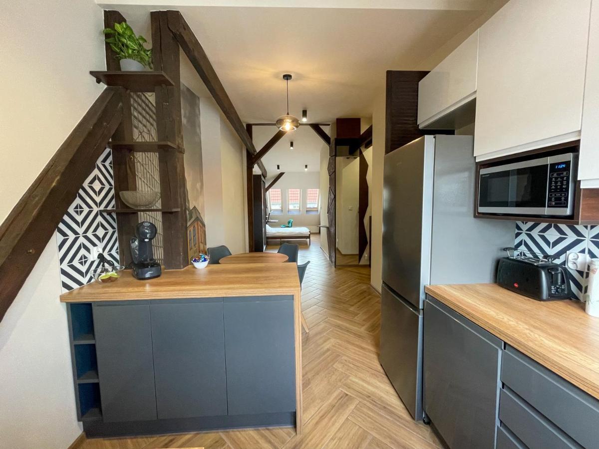 Long Attic Apartment Poznan